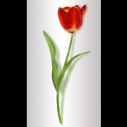batu permata, batu mulia, cincin permata BATU GAMBAR SEKUNTUM BUNGA TULIP batu permata, batu mulia, cincin permata BATU GAMBAR SEKUNTUM BUNGA TULIP