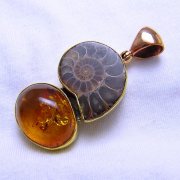 batu permata, batu mulia, cincin permata LIONTIN BATU FOSIL AMMONITE KOMBINASI AMBER CANTIK