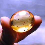 batu permata, batu mulia, cincin permata WELCOME TO JURSSIC WORLD batu permata, batu mulia, cincin permata WELCOME TO JURSSIC WORLD